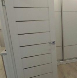 Аренда 1-комн квартиры на вторичном рынке пос. Шушары, проспект Старорусский, 11