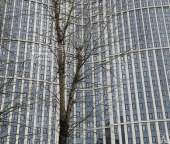 Продать Квартиры вторичка улица Лобачевского  120 к1 