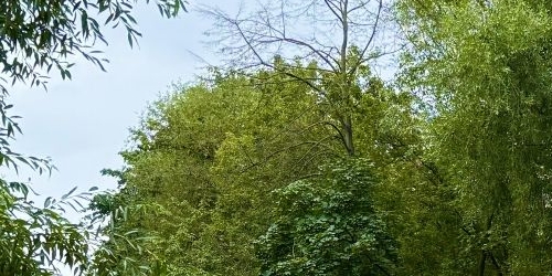 3-комн квартира Свободный проспект, 30