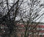 Продать Квартиры вторичка Новосибирская улица  11 