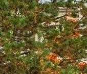 Продать Квартиры вторичка д. Новинки, бульвар Павловский, 8   