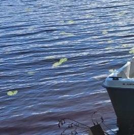 Продажа дома д. Шепелево, улица Озерная Продажа дома д. Шепелево, улица Озерная