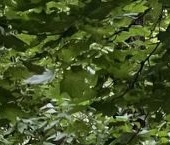 Продать Квартиры вторичка Партизанская улица, 47   