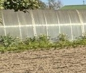 Продать Земельные участки, земля пос. Первомайское, улица Магистральная   