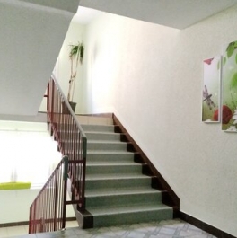 Аренда 1-комн квартиры на вторичном рынке Пушкинская улица,  д. 50