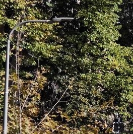 Аренда 2-комн квартиры на вторичном рынке Большой Девятинский переулок, 4