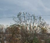 Продать Квартиры вторичка Имени Свердлова пгт, проезд Западный, 2Б   