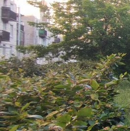 Продажа 2-комн квартиры на вторичном рынке Большеохтинский проспект, 6 Продажа 2-комн квартиры на вторичном рынке Большеохтинский проспект, 6