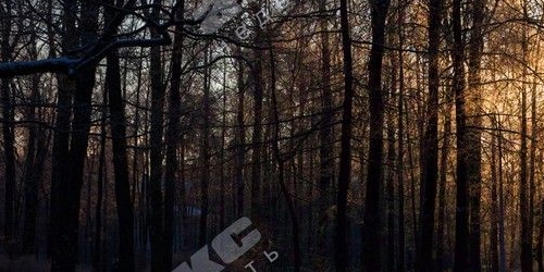 4-комн квартира Политехническая улица, 29к1