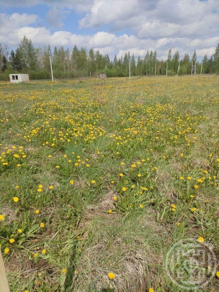 Продажа земли Рахья массив, улица Счастливая