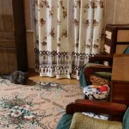 Продажа 2-комн квартиры на вторичном рынке ЖилКООП, Первомайская улица,  д. 17