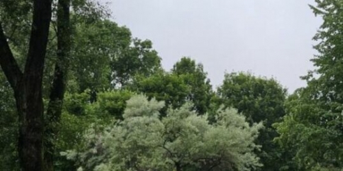 2-комн квартира Стачек пр-кт,  д. 19