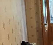 Продать Квартиры вторичка Шатура, проспект Ильича, 29   