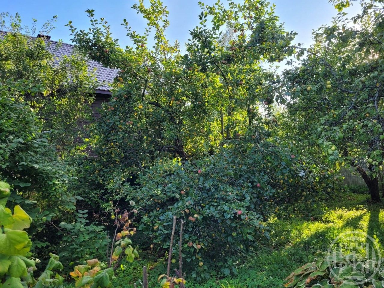 Продажа дома Красное Знамя СНТ, улица 1-я Вишневая, 43
