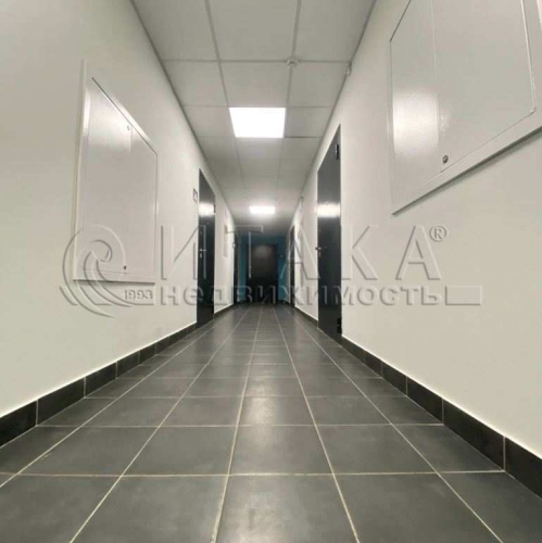 Студия Маршала Захарова ул., д. 8