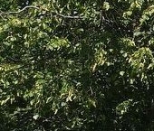 Продать Квартиры вторичка Всеволожск, улица Плоткина, 5   