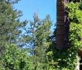 Продать Дачи, коттеджи, загородные дома Славино-1 СНТ   