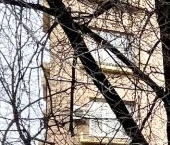 Сдать в аренду Квартиры вторичка Комсомольский проспект, 11   