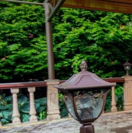 Продажа дома Сестрорецк, Разлив СНТ, дорожка 23-я, 30/21