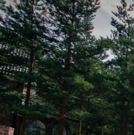 Продажа земли д. Энколово, улица Миниха