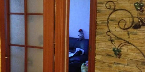 2-комн квартира Ольги Форш ул ,  д. 3