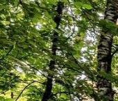 Продать Квартиры вторичка улица Василисы Кожиной, 8К3   