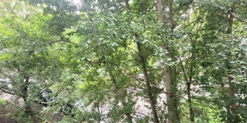 1-комн квартира ул Трофимова,  д. 36,  к. 1