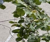 Продать Квартиры вторичка Чертановская улица, 54К2   