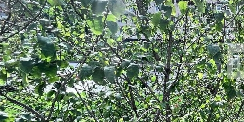 3-комн квартира улица Тельмана, 40