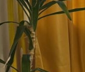 Сдать в аренду Квартиры вторичка Федеративный проспект, 24   