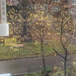 Аренда 1-комн квартиры на вторичном рынке Дмитров, улица Подъячева, 15