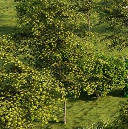 Продажа земли шоссе Колтушское Продажа земли шоссе Колтушское