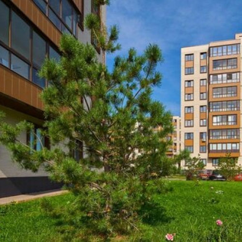 2-комн квартира Пирогово, ул Ильинского,  д. 5