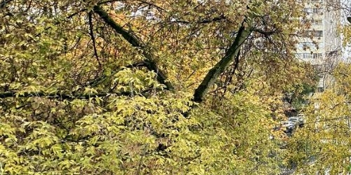 2-комн квартира Краснодонская улица, 27