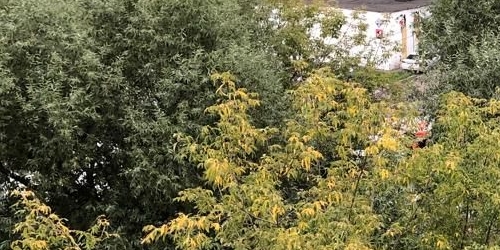 1-комн квартира Планерная улица, 20к1