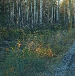 Продажа дома Энтузиаст СНТ, 13-я линия