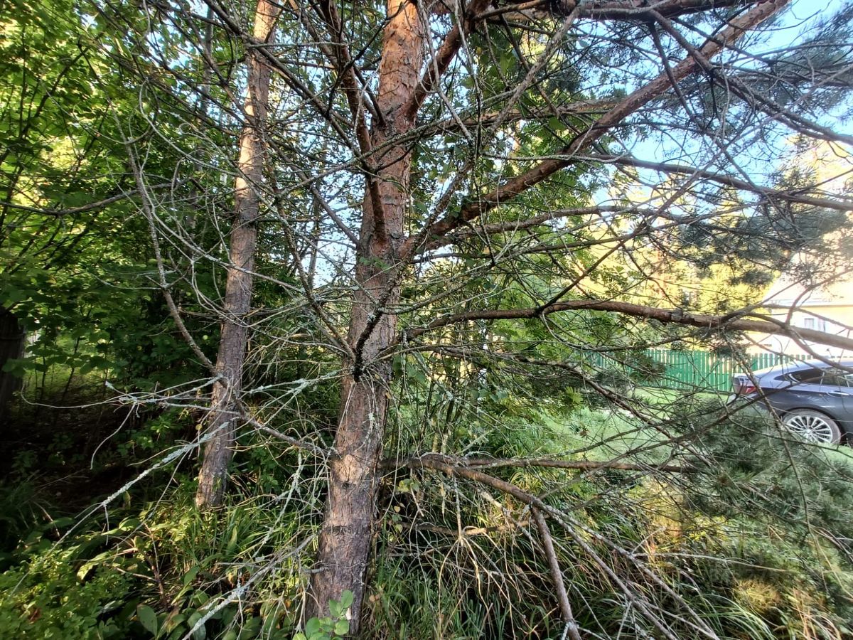 Продажа земли Центральный мкр, Вырица городской поселок