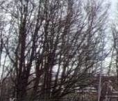 Продать Квартиры вторичка Митино Дальнее мкр, д. Брехово  13 