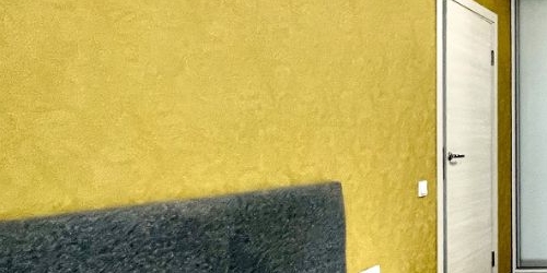 2-комн квартира Пушкин, Ленинградская улица, 47