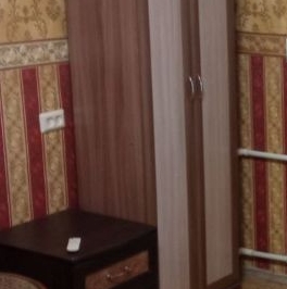 Аренда 1-комн квартиры на вторичном рынке д. Елизаветинка, улица Центральная, 1/48