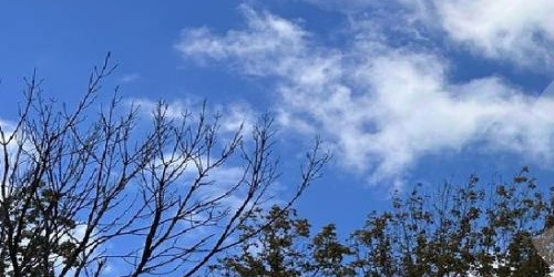 6-комн квартира Долгоруковская улица, 25