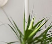 Продать Квартиры вторичка Староалексеевская улица, 5А   