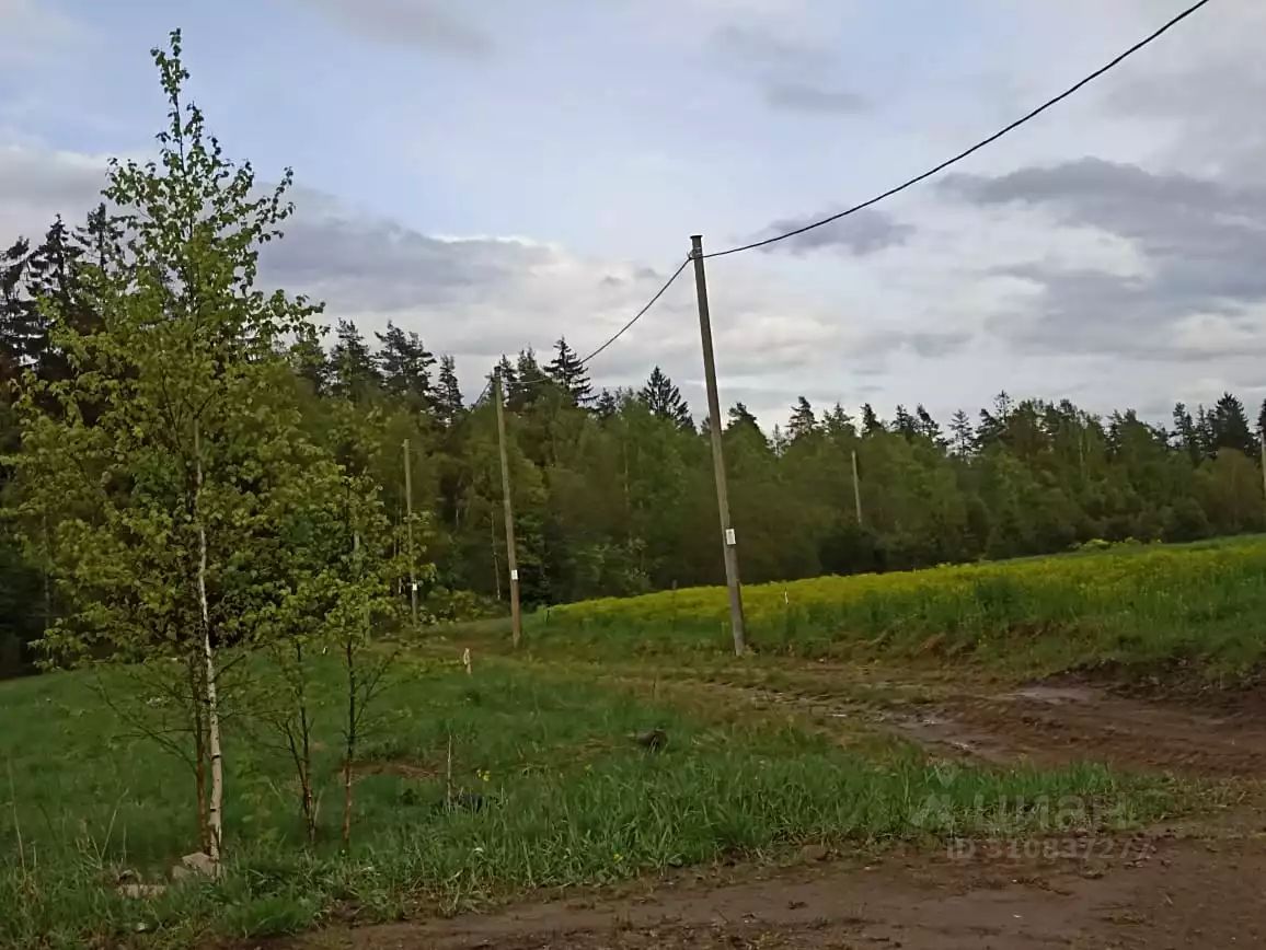 Продажа земли д. Васильево, улица Лыжная