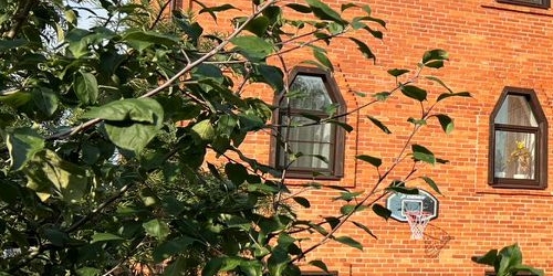 Коттедж/дом Сестрорецк, 2-я линия, 19