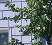 Продать Квартиры вторичка пос. Пролетарский, улица Центральная, 33   