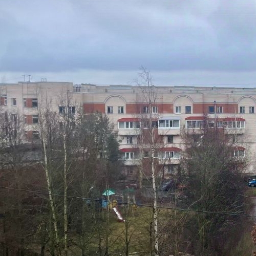 1-комн квартира Пушкин, улица Архитектора Данини, 5