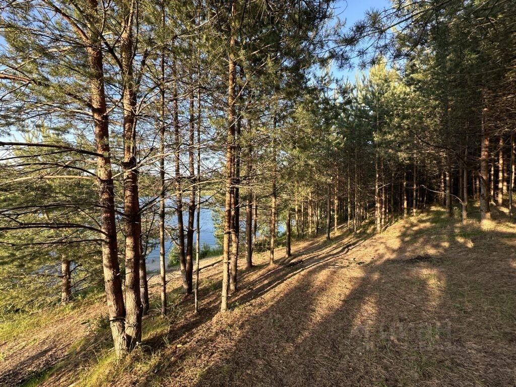 Продажа дома д. Углово, улица Рябиновая, 14