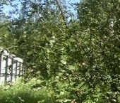 Продать Земельные участки, земля Щеглово Сити кп  78 