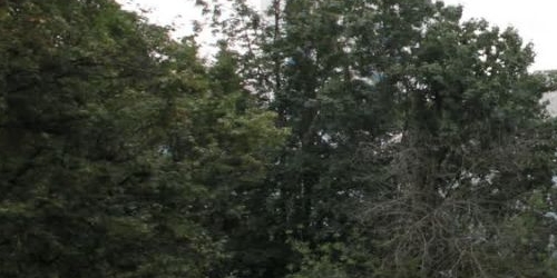 3-комн квартира Борисовский проезд, 36К2