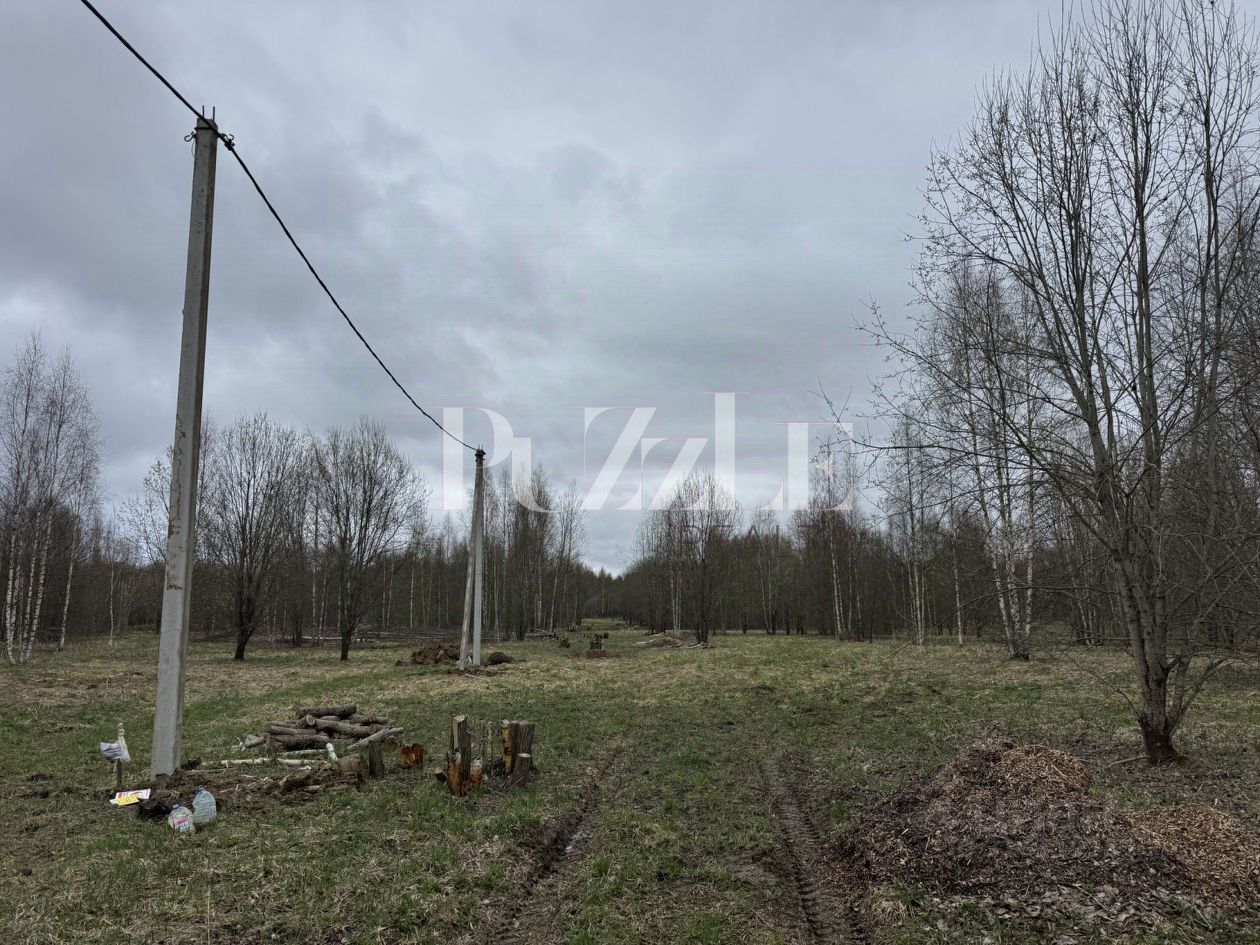 Продажа земли д. Лопухинка, 4